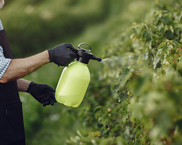 A1-fertilizing