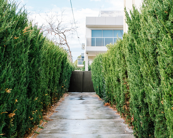 A1-hedging