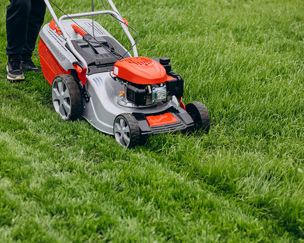 A1-mowing