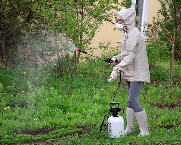 A1-weed-spraying
